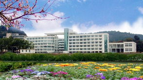 新華網(wǎng)福建頻道