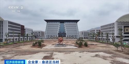 年近八十,投資百億元建大學(xué) 圖什么 曹德旺回應(yīng)