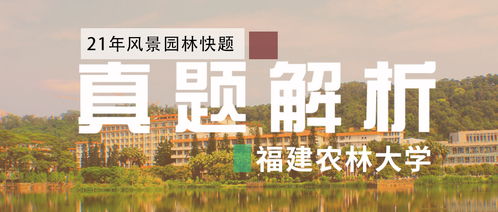 真題解析 2021年福建農(nóng)林大學(xué)風(fēng)景園林快題